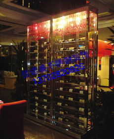 绿色家具 不锈钢多层展示不锈钢酒架 艺术性不锈钢双开恒温冷藏柜