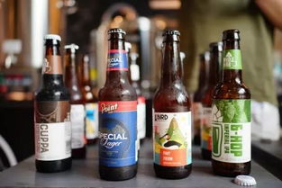 忒斯特迷你酿酒厂 新酒诞生派对，尽享美食与佳酿