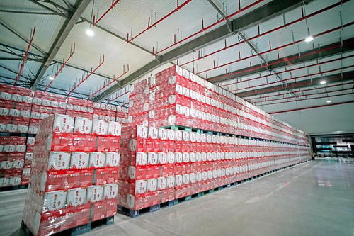 雪花啤酒凉山工厂竣工，开启高质量发展新征程